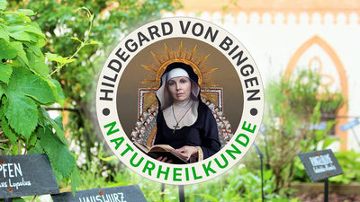 Küchenkräuter nach Hildegard von Bingen und ihre Wirkung