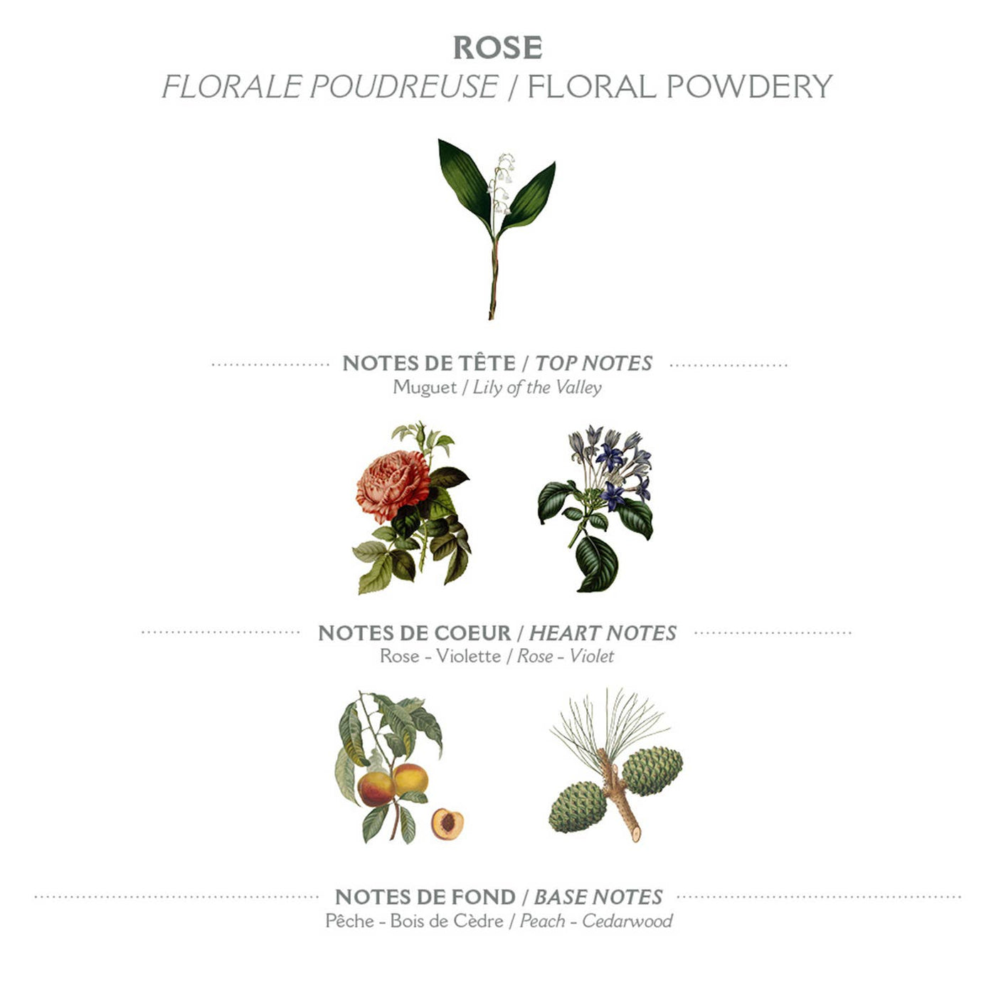 Eau de Toilette 50 ml | Rose in Dianas Klosterlaedchen