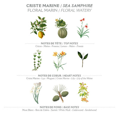 Eau de Toilette 50 ml | Meerfenchel in Dianas Klosterlaedchen