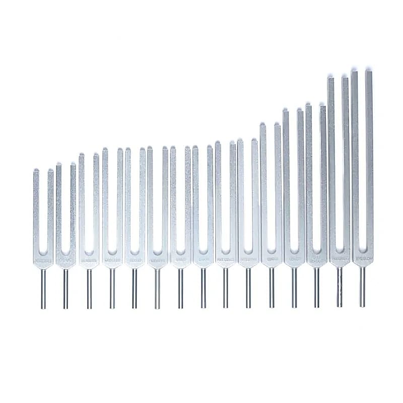 Stimmgabel-Set Menschliche Organe
