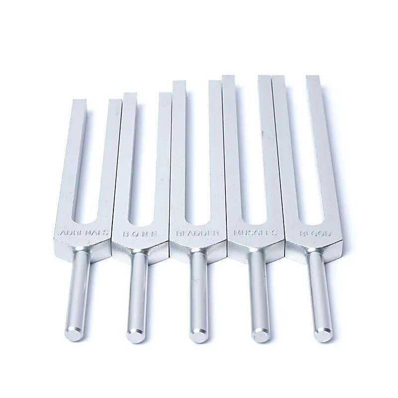 Stimmgabel-Set Menschliche Organe
