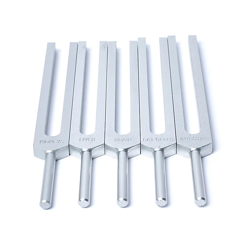 Stimmgabel-Set Menschliche Organe