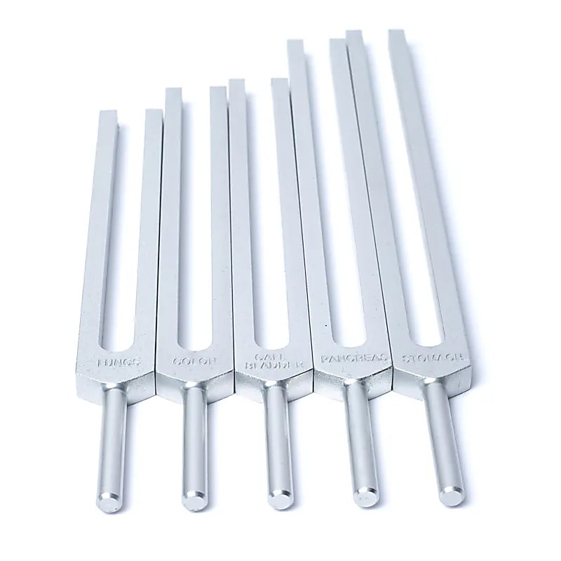 Stimmgabel-Set Menschliche Organe