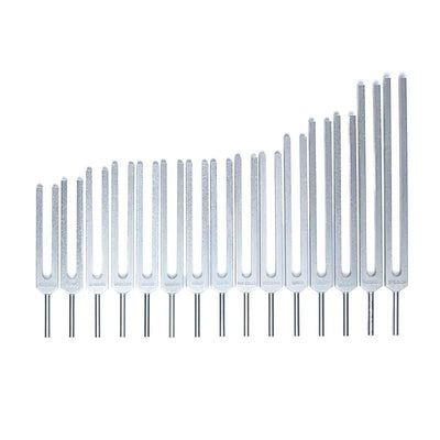Stimmgabel-Set Menschliche Organe
