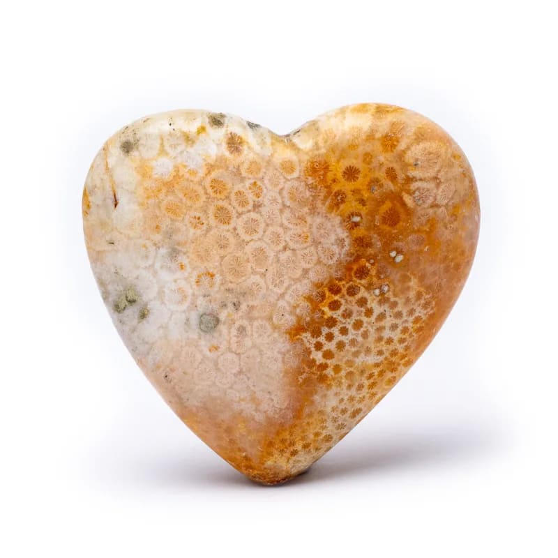 Sorgenstein Herzform fossile Koralle 5x5x2 cm