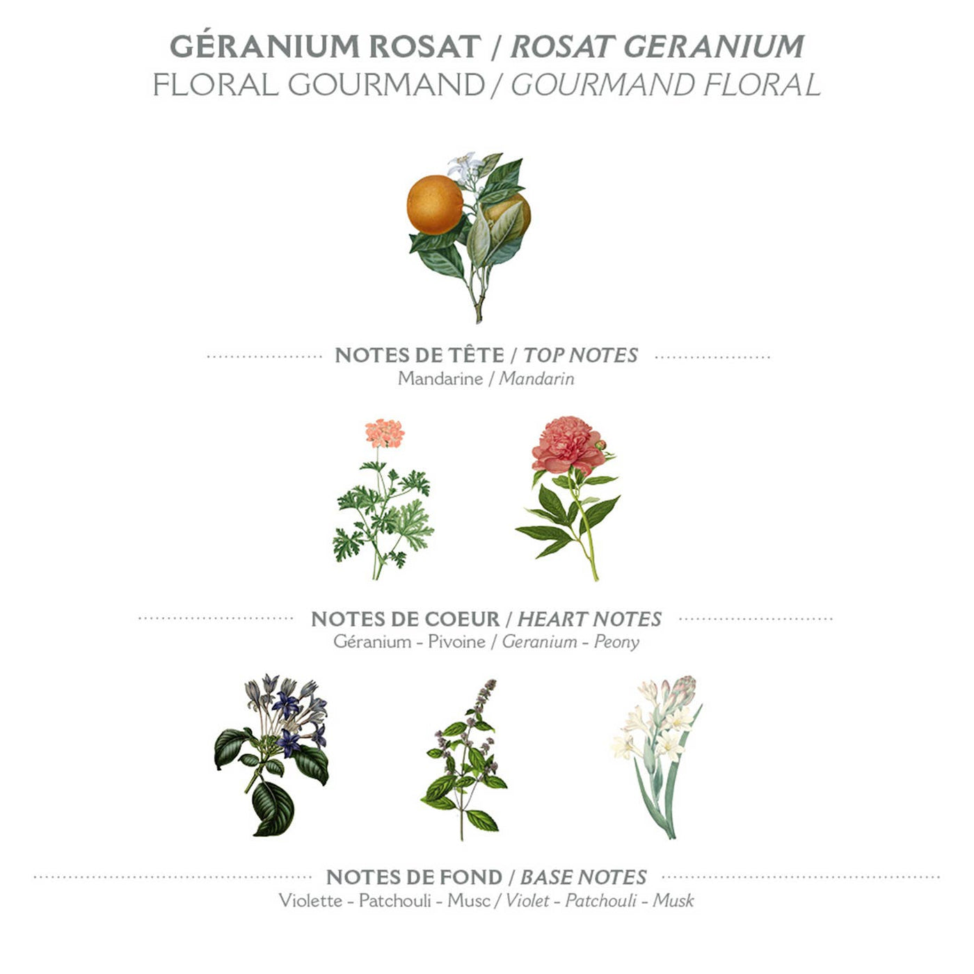 Eau de Toilette 50 ml | Rosengeranie in Dianas Klosterlaedchen