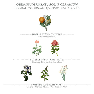 Eau de Toilette 50 ml | Rosengeranie in Dianas Klosterlaedchen