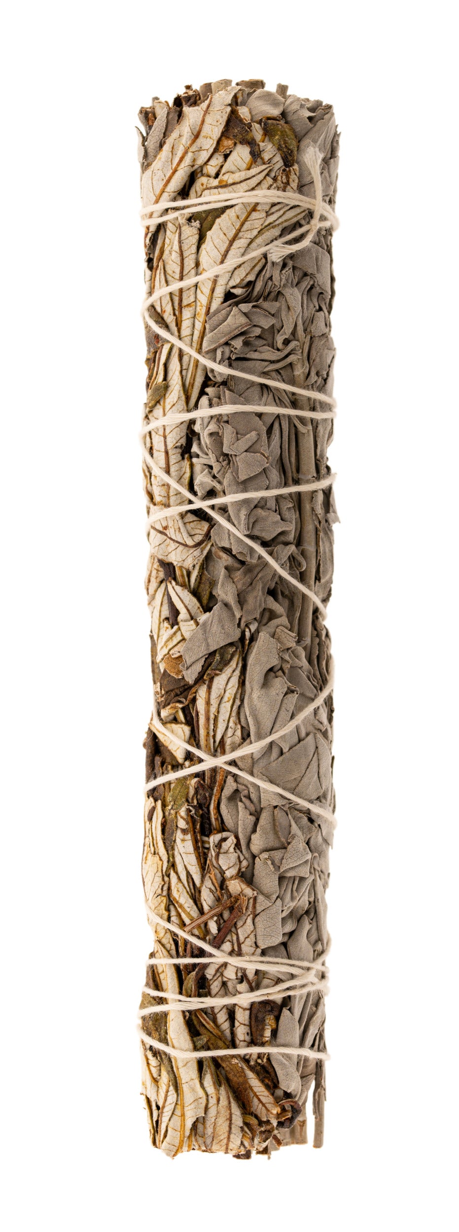 Weißer Salbei/Yerba Santa ca 22cm - Dianas Klosterlädchen