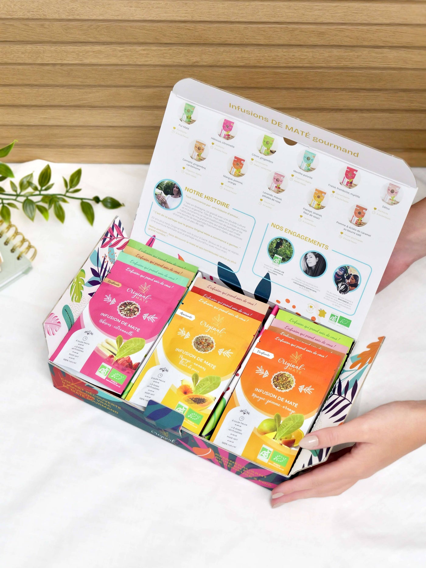 Discovery-Box von oben, mit allen Mate-Sorten sichtbar und Infobroschüre im Deckel.