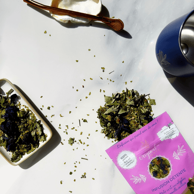 Mate-Aufguss in traditioneller Kalebasse mit Bombilla, frische und klare Kräuternoten.