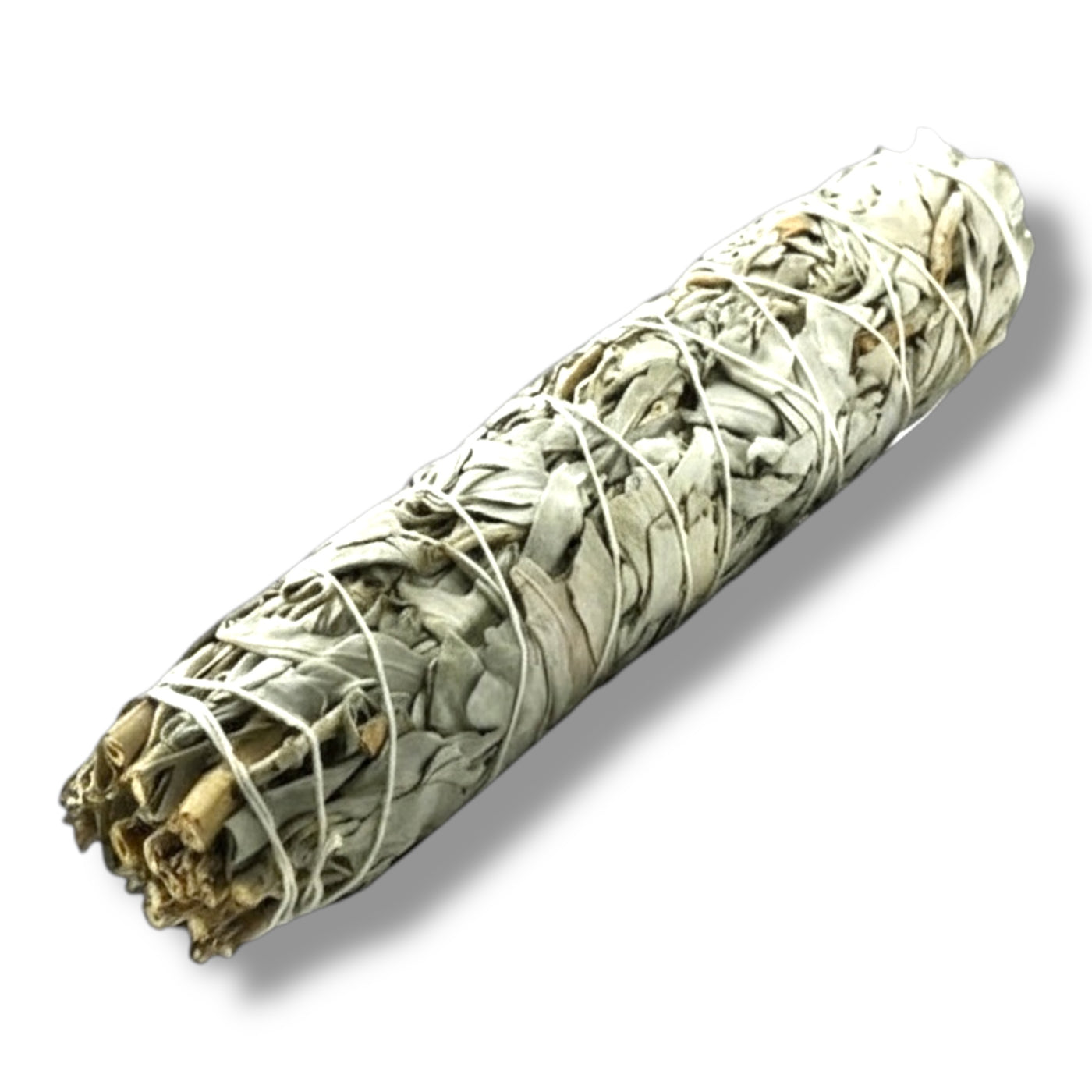 Weisser Salbei Bündel 15 cm in Dianas Klosteraledchen