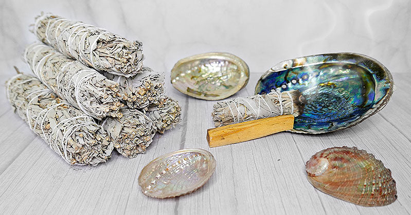 Abalone-Schale mit Gewinde 9 cm - Dianas Klosterlädchen