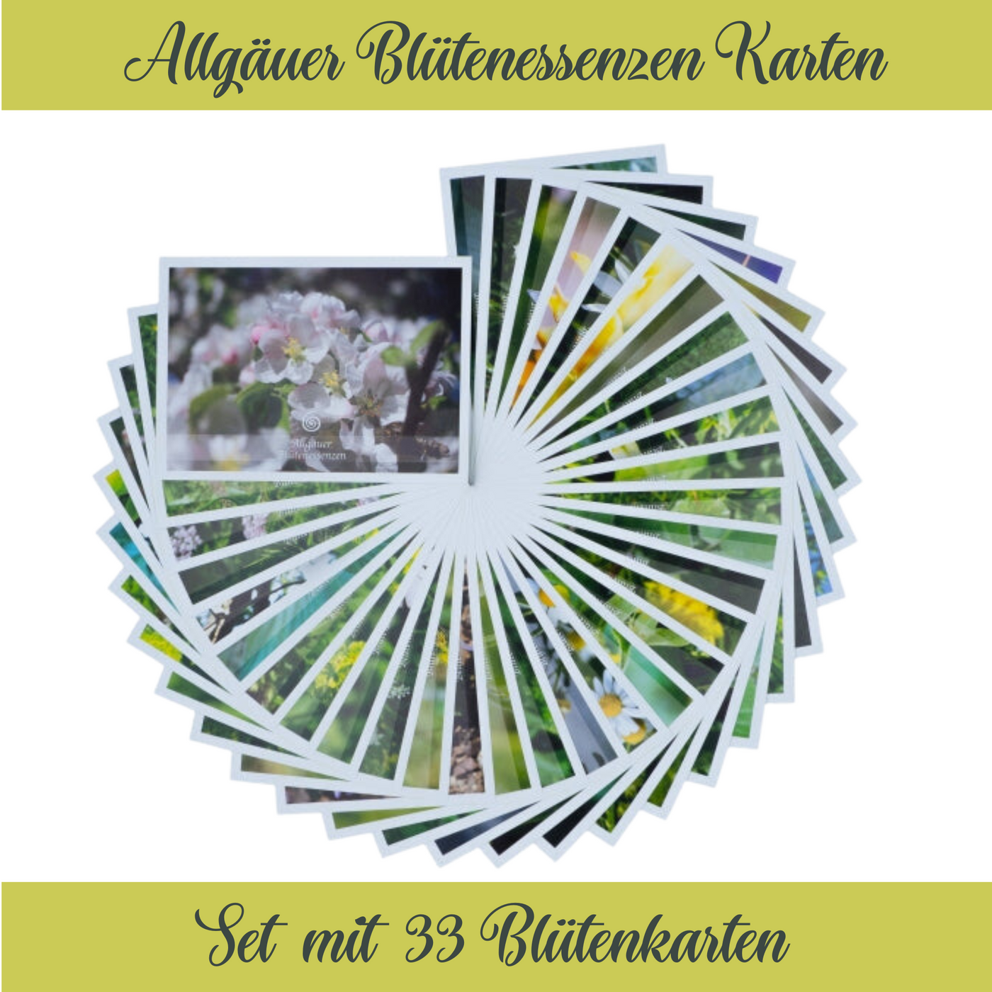 Allgäuer Blütenessenz - Kartenset 33er - Dianas Klosterlädchen