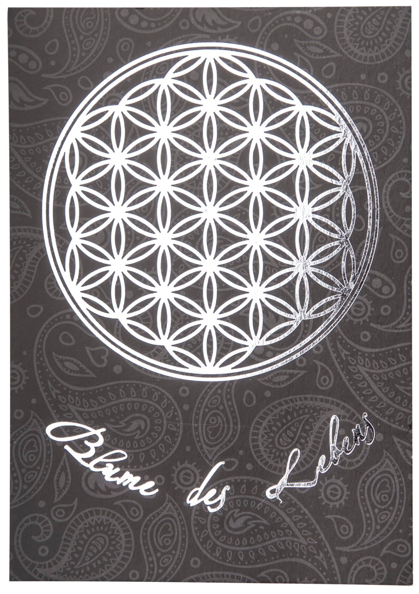 Blume des Lebens Postkarte Silber/Schwarz - Dianas Klosterlädchen