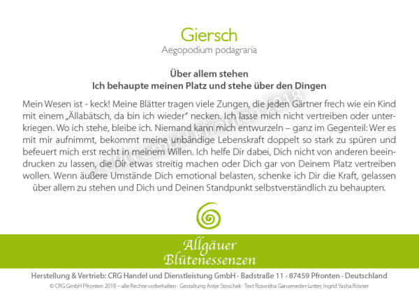 Blütenessenz Giersch - Über allem stehen - Dianas Klosterlädchen