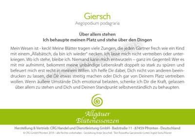 Blütenessenz Giersch - Über allem stehen - Dianas Klosterlädchen