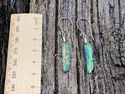 Mini Abalone Flugfeder-Ohrringe in Dianas Klosterlaedchen