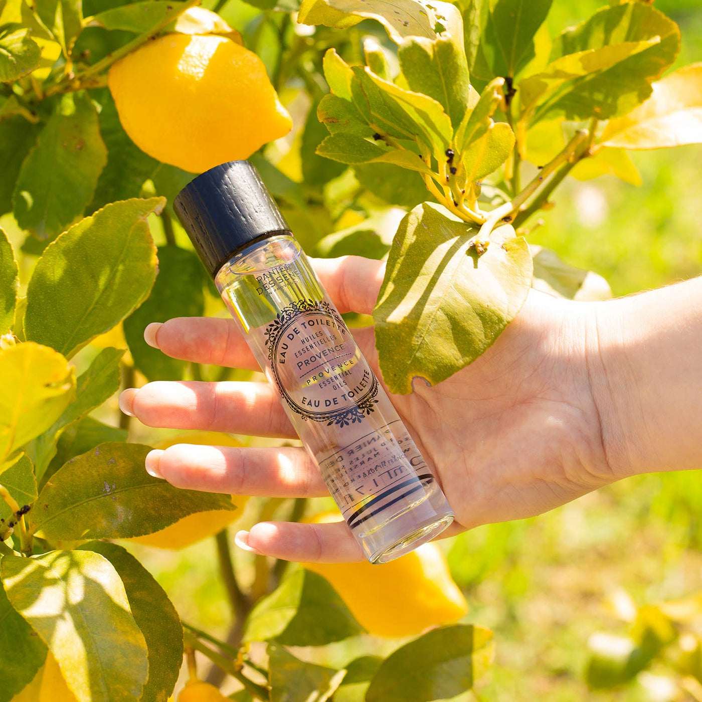 Eau de Toilette 50ml | Provence - Dianas Klosterlädchen