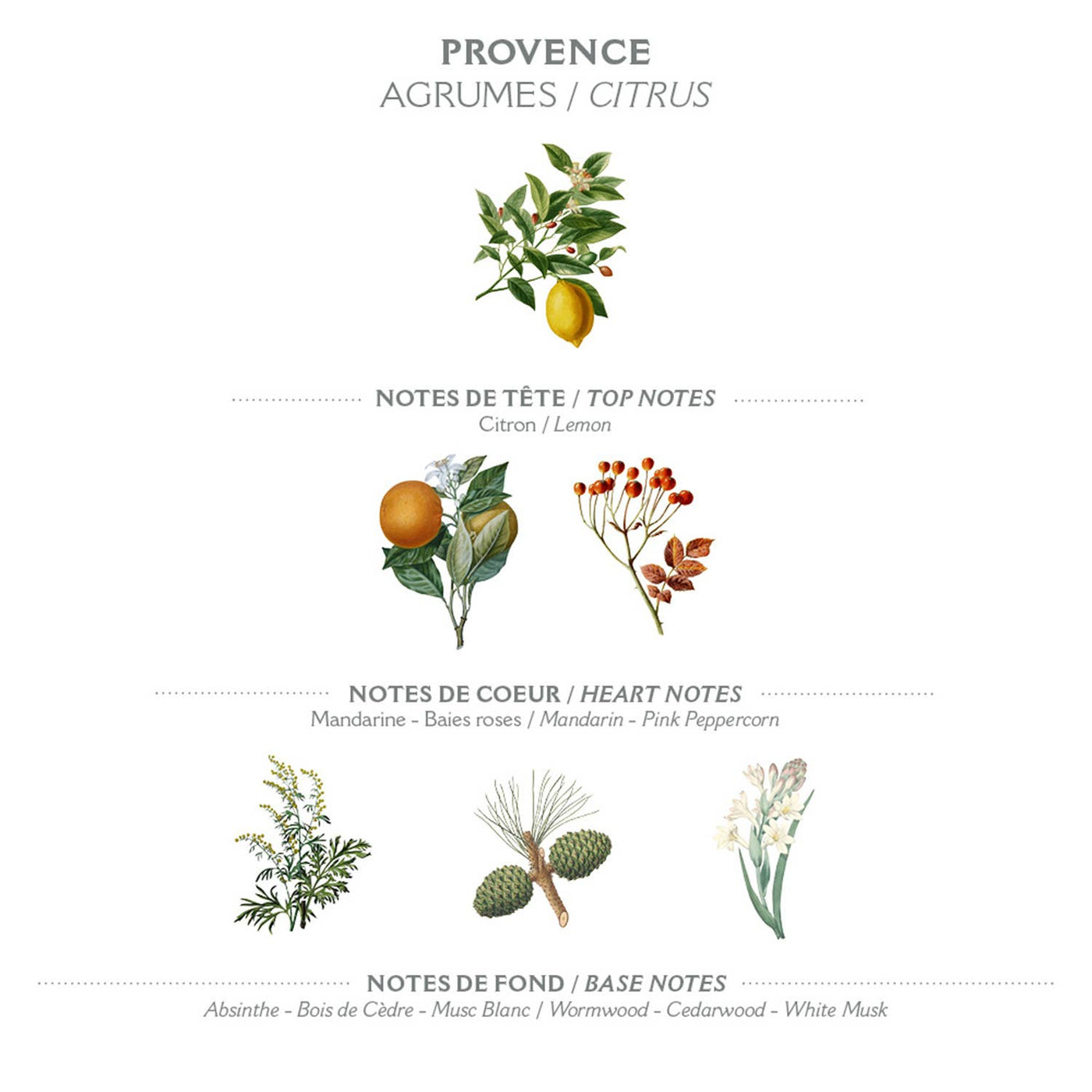 Eau de Toilette 50ml | Provence - Dianas Klosterlädchen
