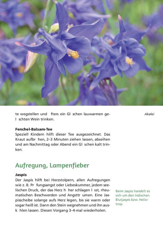 EINFACH GESUND. DAS HILDEGARD VON BINGEN GESUNDHEITSBUCH - Dianas Klosterlädchen