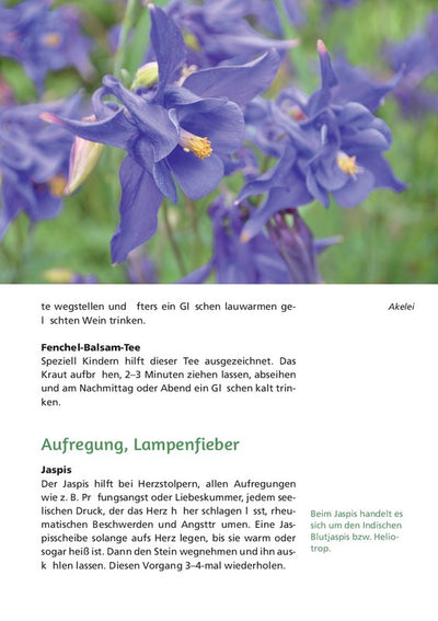 EINFACH GESUND. DAS HILDEGARD VON BINGEN GESUNDHEITSBUCH - Dianas Klosterlädchen