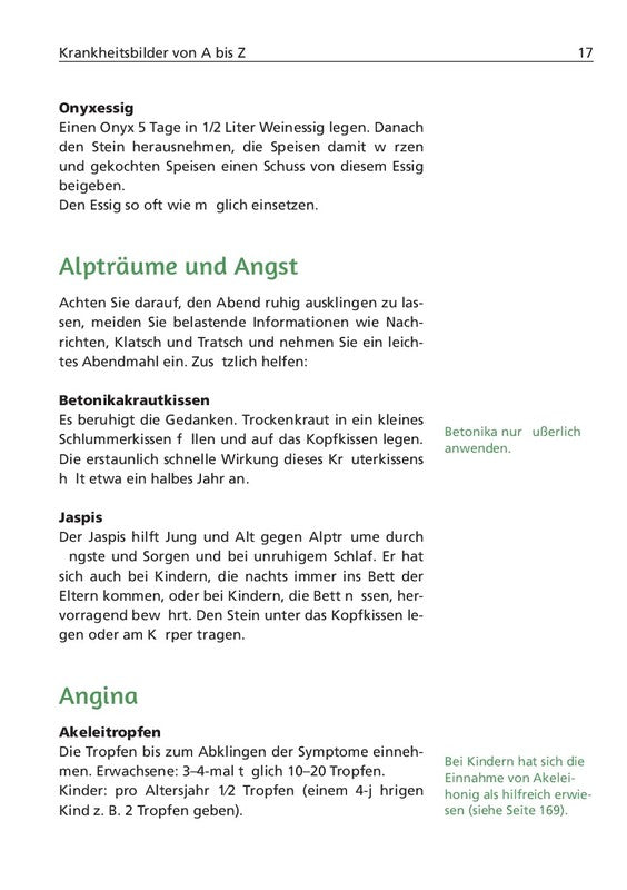 EINFACH GESUND. DAS HILDEGARD VON BINGEN GESUNDHEITSBUCH - Dianas Klosterlädchen