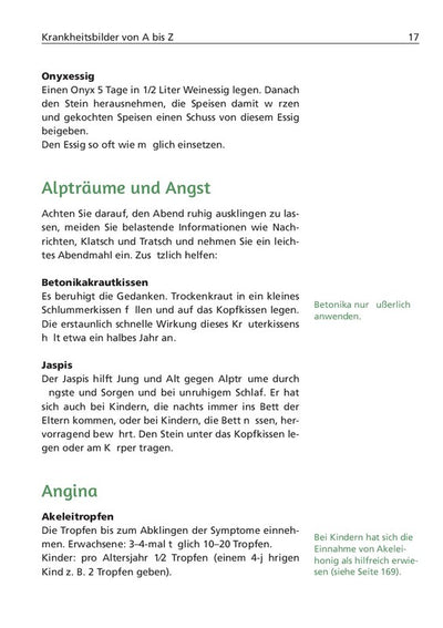 EINFACH GESUND. DAS HILDEGARD VON BINGEN GESUNDHEITSBUCH - Dianas Klosterlädchen