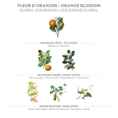 Körpermilch 250 ml | Orangenblüte in Dianas Klosterlaedchen