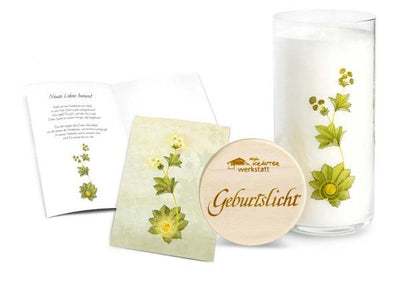 Geburtslicht-Kerze in transparentem Glas mit floralem Pflanzenmotiv, dazu eine passende Klappkarte mit Umschlag und ein runder Holzdeckel mit dem Schriftzug „Geburtslicht“.