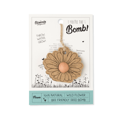 Geschenkanhänger SAMENBOMBE Celebrate - Dianas Klosterlädchen