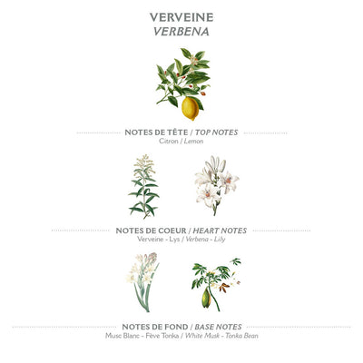 Handcreme 75 ml | Energetisierende Verbene - Dianas Klosterlädchen