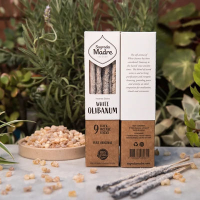 Sagrada Madre Herbal Räucherwerk Weißes Olibanum - Dianas Klosterlädchen