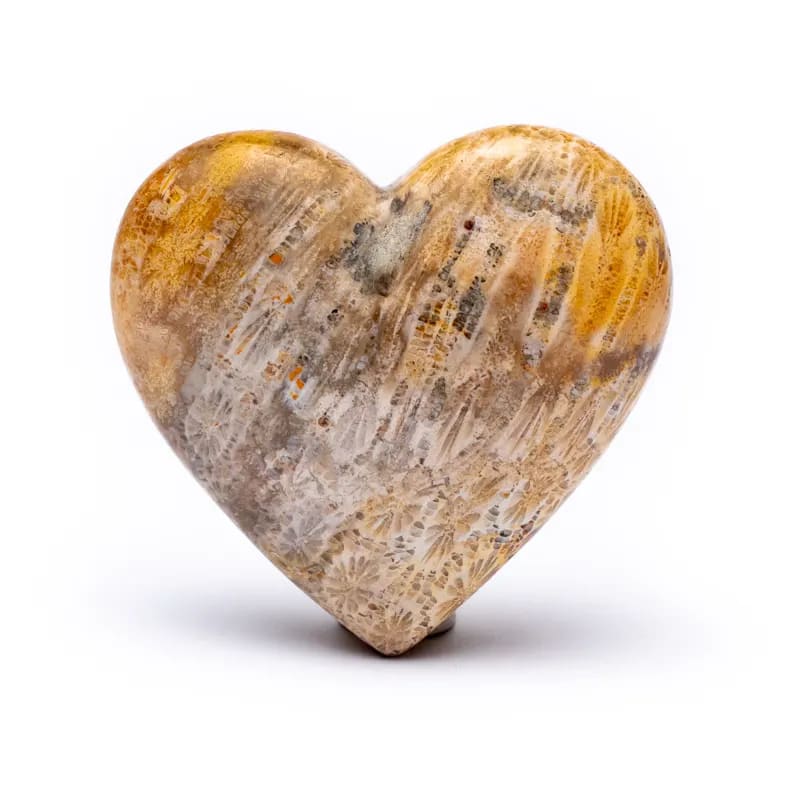 Sorgenstein Herzform fossile Koralle 5x5x2 cm - Dianas Klosterlädchen