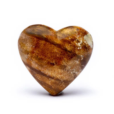 Sorgenstein Herzform fossile Koralle 5x5x2 cm - Dianas Klosterlädchen