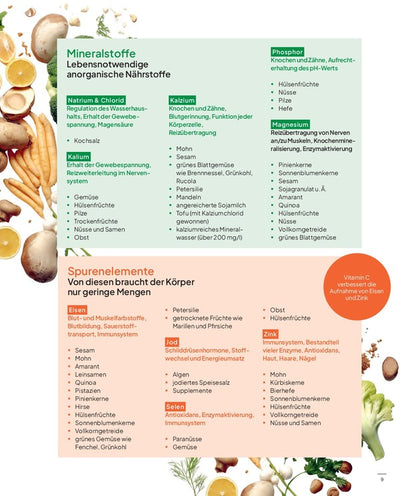 VEGAN VIBES Kochbuch - Dianas Klosterlädchen