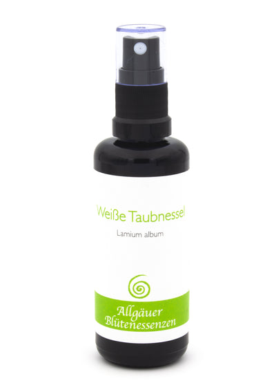 Weiße Taubnessel 50ml | Allgäuer Blütenessenz @klosterlaedchen 