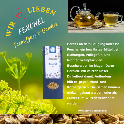 Balsam-Fenchel-Tee 100g - Dianas Klosterlädchen
