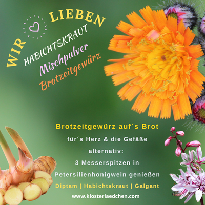 Habichtskraut Mischpulver 50g | Hildegard von Bingen - Dianas Klosterlädchen
