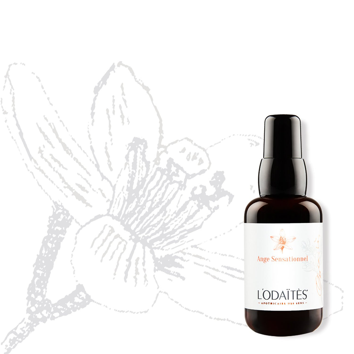 ANGE SENSATIONNEL | Intensive Well-Aging-Creme|50ML - Dianas Klosterlädchen