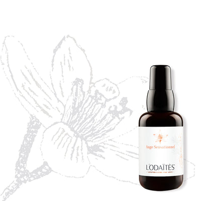 ANGE SENSATIONNEL | Intensive Well-Aging-Creme|50ML - Dianas Klosterlädchen