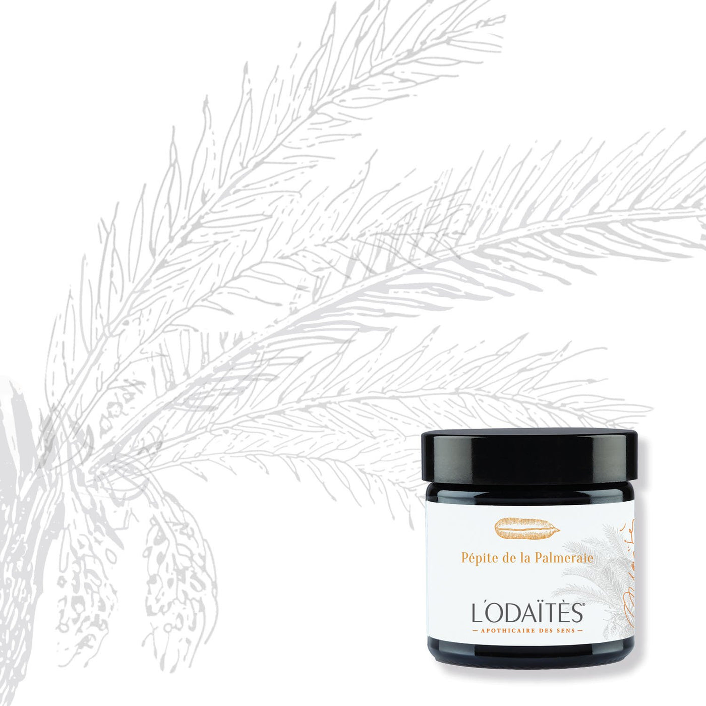 PÉPITE DE LA PALMERAIE | Sanftes Gesichts-Peeling 60ML - Dianas Klosterlädchen