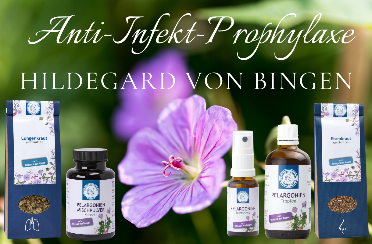 Anti-Infekt-Prophylaxe mit Hildegard - Dianas Klosterlädchen
