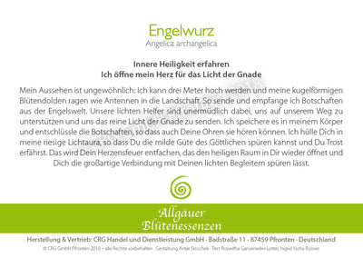Blütenessenz Engelwurz - Innere Heiligkeit erfahren - Dianas Klosterlädchen