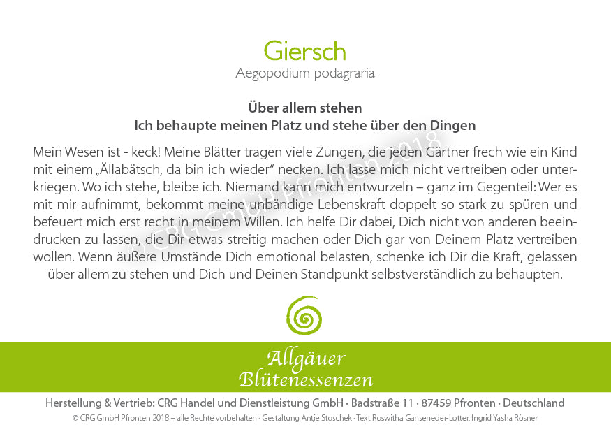 Blütenessenz Giersch - Über allem stehen - Dianas Klosterlädchen