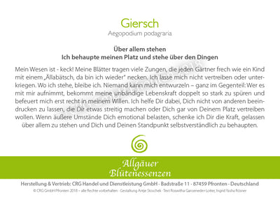 Blütenessenz Giersch - Über allem stehen - Dianas Klosterlädchen