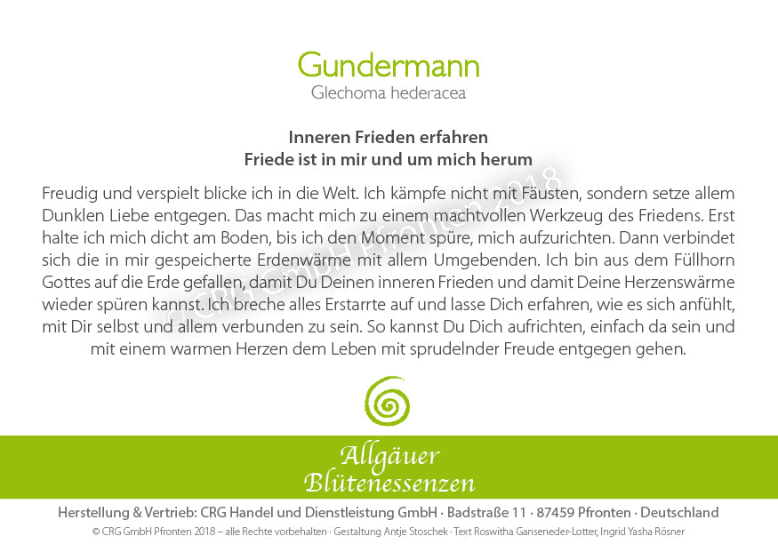 Blütenessenz Gundermann - Inneren Frieden erfahren - Dianas Klosterlädchen
