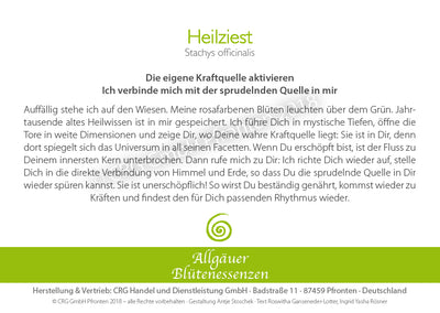 Blütenessenz Heilziest - Die eigene Kraftquelle aktivieren - Dianas Klosterlädchen