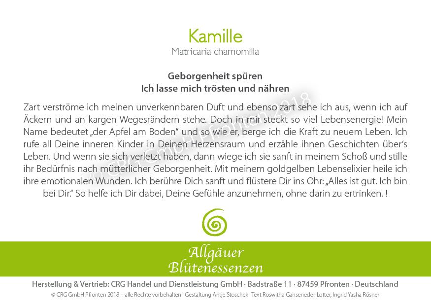 Blütenessenz Kamille - Geborgenheit spüren - Dianas Klosterlädchen