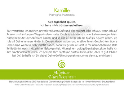 Blütenessenz Kamille - Geborgenheit spüren - Dianas Klosterlädchen