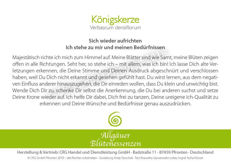 Blütenessenz Königskerze - Sich wieder aufrichten - Dianas Klosterlädchen